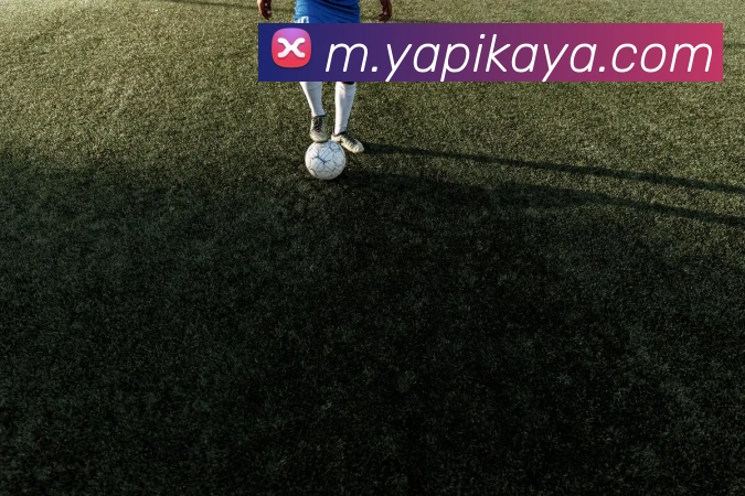 App界面